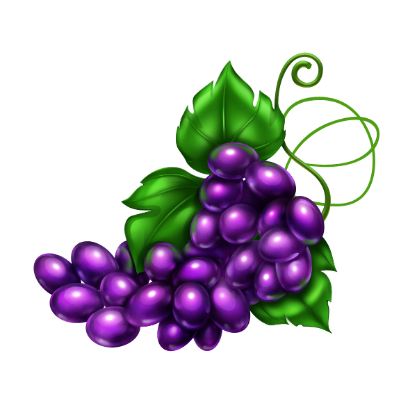 Grape_000